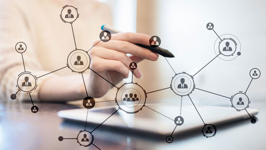 Conseil organisation entreprise Angers